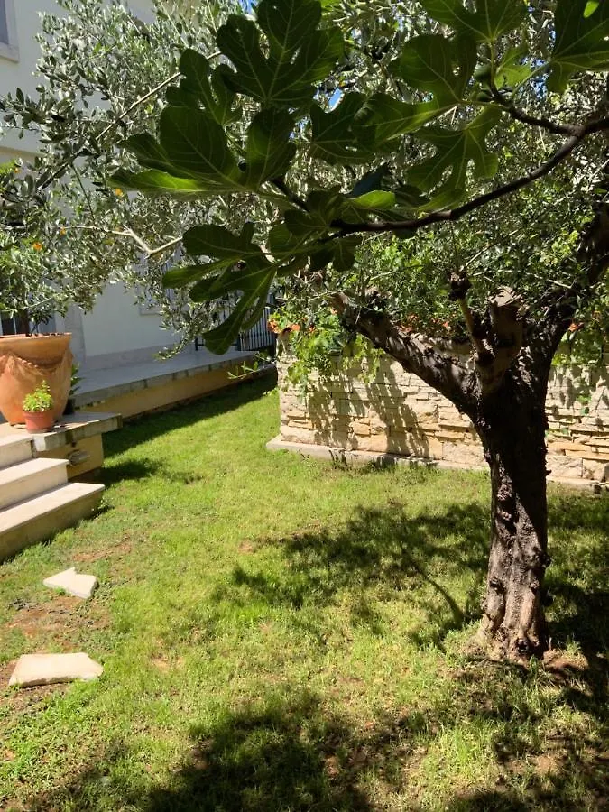 Apartment Provance Pula
